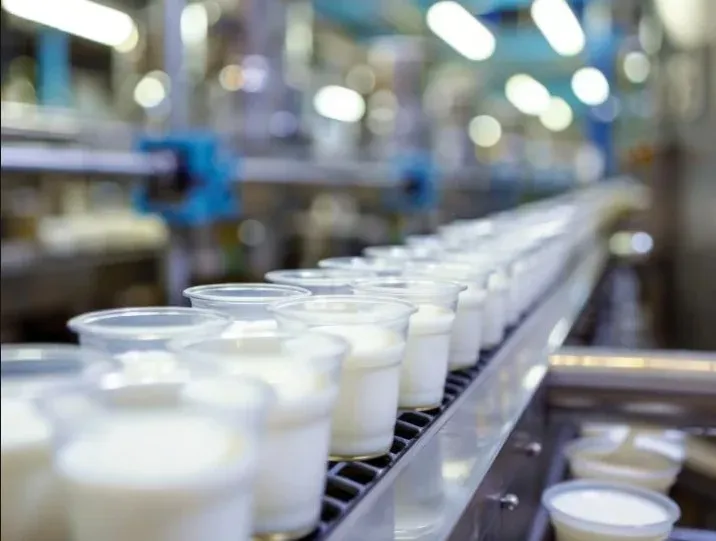 ការណែនាំក្នុងការជ្រើសរើសម៉ាស៊ីនបំពេញពែងទឹកដោះគោយ៉ាអួ | គន្លឹះក្នុងការជ្រើសម៉ាស៊ីនសមស្របសម្រាប់ផលិតយ៉ាអួ 2 guide to choosing a yogurt cup filling machine 01