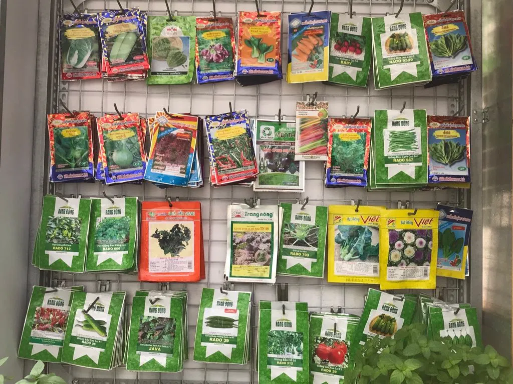 bv may dong goi hat giong 01