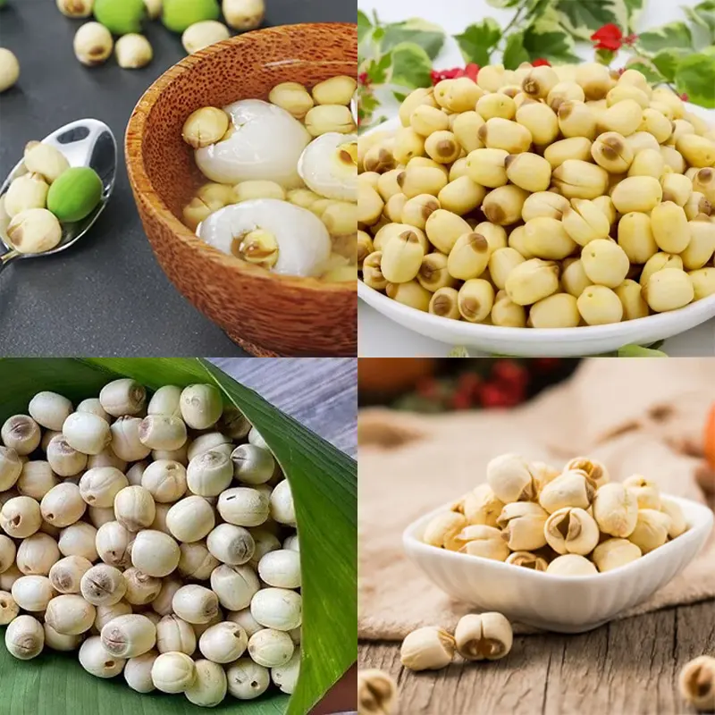 cach bao quan hat sen tuoi