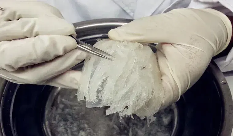 production process of candied birds nest 02