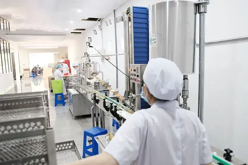 production process of candied birds nest 03