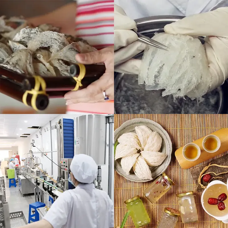 quy trinh san xuat yen sao