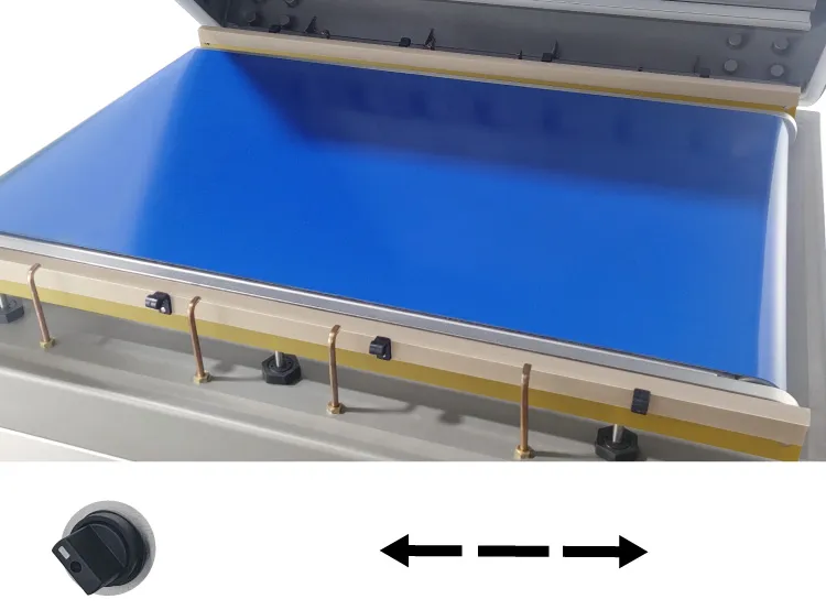 ម៉ាស៊ីនវេចខ្ចប់សុញ្ញកាសសាច់គោ DZQ-850S 7 DZQ 850S 02