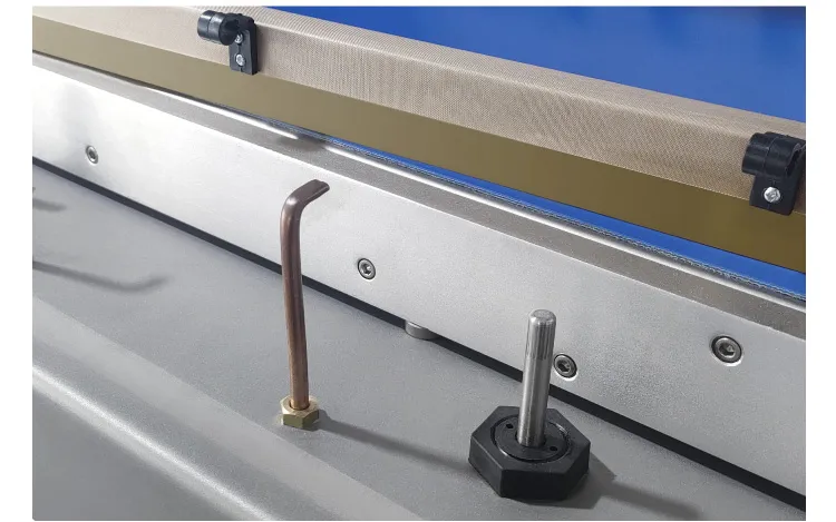 ម៉ាស៊ីនវេចខ្ចប់សុញ្ញកាសសាច់គោ DZQ-850S 9 DZQ 850S 04