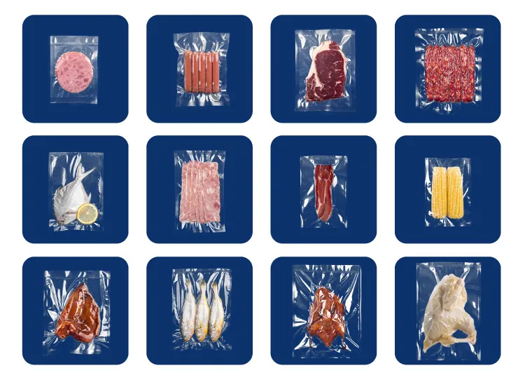 ម៉ាស៊ីនវេចខ្ចប់សុញ្ញកាសសាច់គោ DZQ-850S 5 DZQ 850S 06