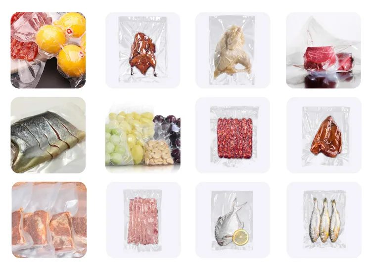 ម៉ាស៊ីនវេចខ្ចប់សុញ្ញកាស DZQ-500/2SA បន្ទប់ទ្វេ ឧស្សាហកម្ម 9 dzq 500 2sa 01