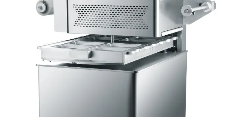 ម៉ាស៊ីនវេចខ្ចប់សុញ្ញកាសថង់អាហារ ZT-480 12 zt 480 food tray vacuum packing machine 12