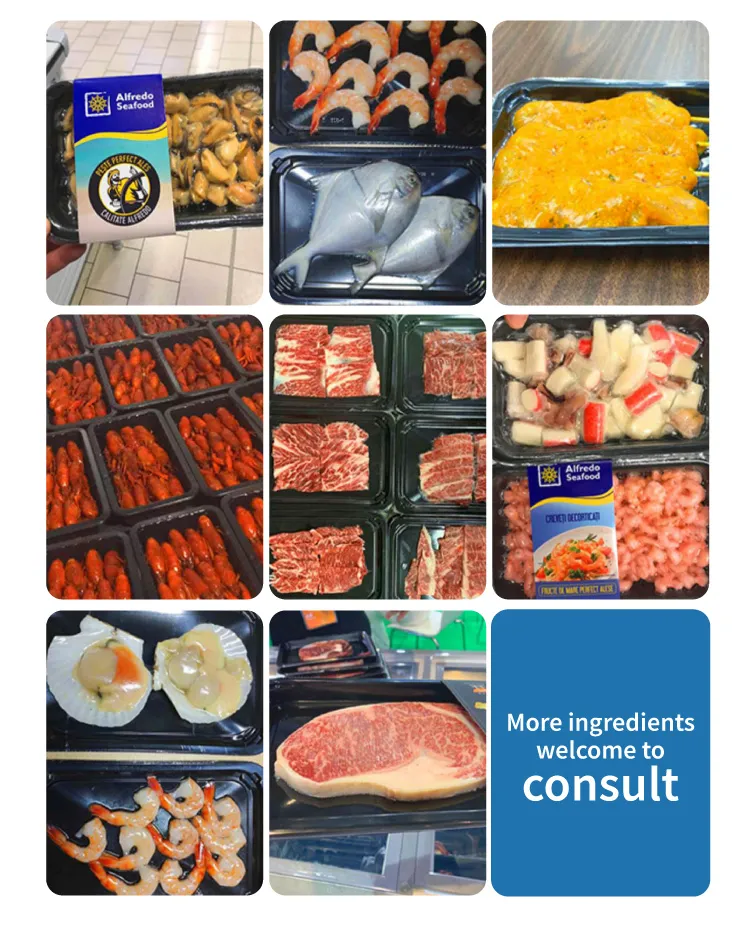 ម៉ាស៊ីនវេចខ្ចប់សុញ្ញកាសថង់អាហារ ZT-480 6 zt 480 food tray vacuum packing machine 17