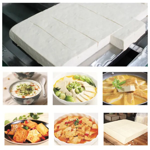 ខ្សែសង្វាក់ផលិតកម្មតៅហ៊ូ YC-300 6 Day chuyen san xuat dau hu YC 300 03