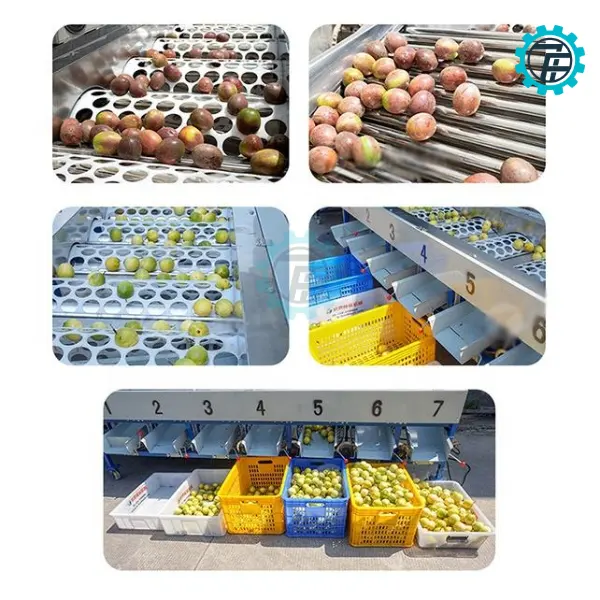 May phan loai theo kich co 02