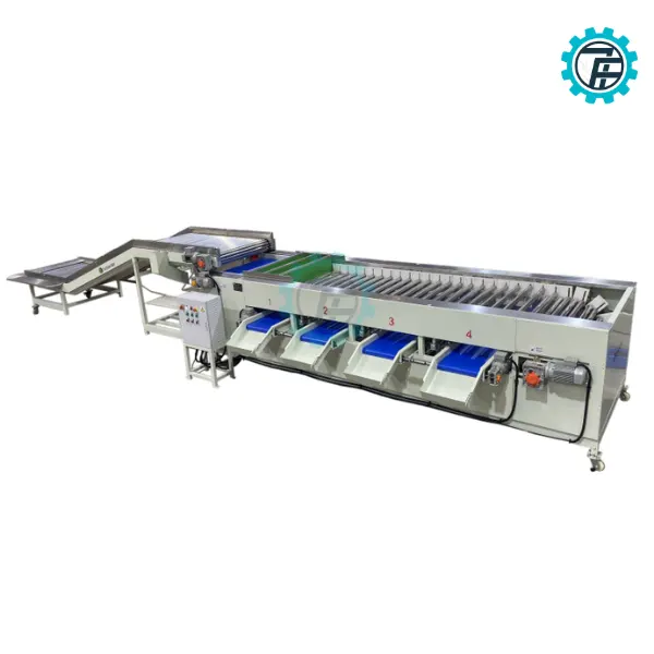 ម៉ាស៊ីនតម្រៀបផ្លែឈើដែលមានមូលដ្ឋានលើរំកិល 3 ម៉ាស៊ីនតម្រៀបផ្លែឈើដោយស្វ័យប្រវត្តិ