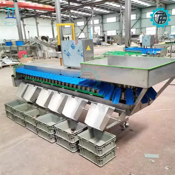 May phan loai trong luong 06