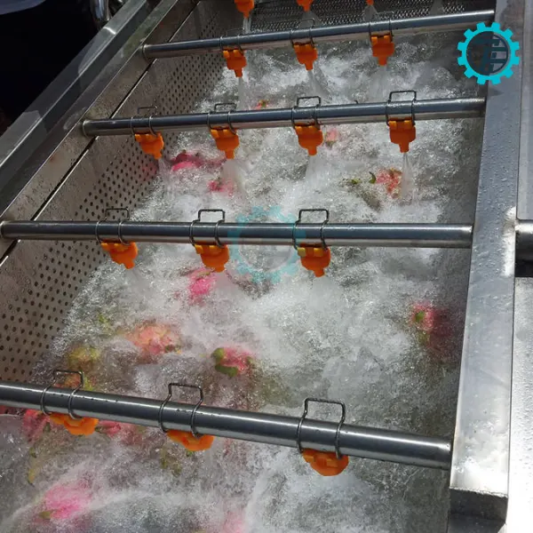 ម៉ាស៊ីនបោកគក់បន្លែ និងផ្លែឈើឧស្សាហកម្ម GY-QP-2500 5 may rua rau cu va trai cay cong nghiep GY QP 2500 03