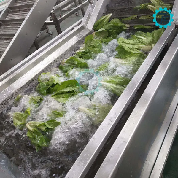 ម៉ាស៊ីនបោកគក់ផ្លែឈើនាគ 9 may rua thanh long 07